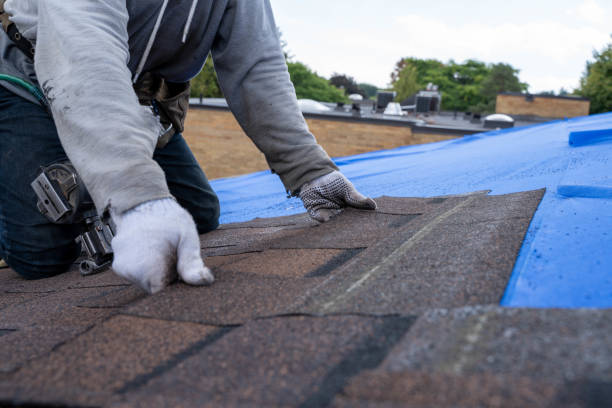 Best Local Roofing Companies  in Onancock, VA